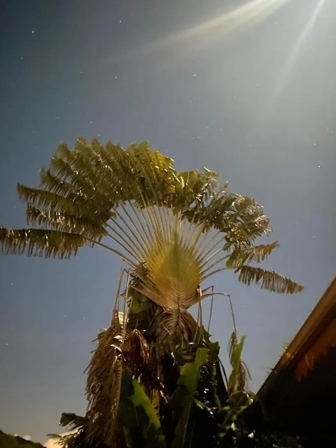 Villa Gaia - Bungalow Ti-Zen Et Son Jacuzzi Niche Dans Un Jardin Tropical, Sejour En Amoureux Le Diamant 0*,