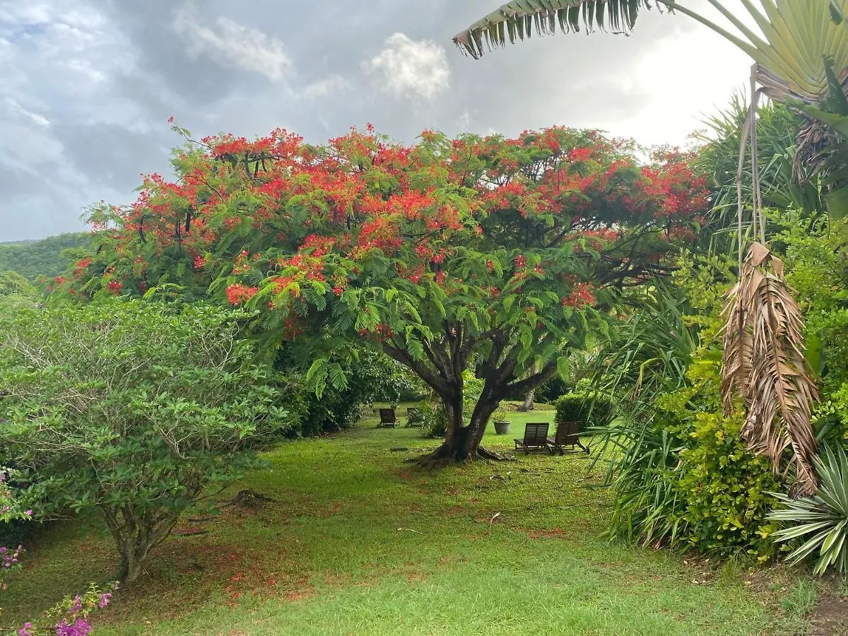 Villa Gaia - Bungalow Ti-Zen Et Son Jacuzzi Niche Dans Un Jardin Tropical, Sejour En Amoureux Le Diamant Chalet